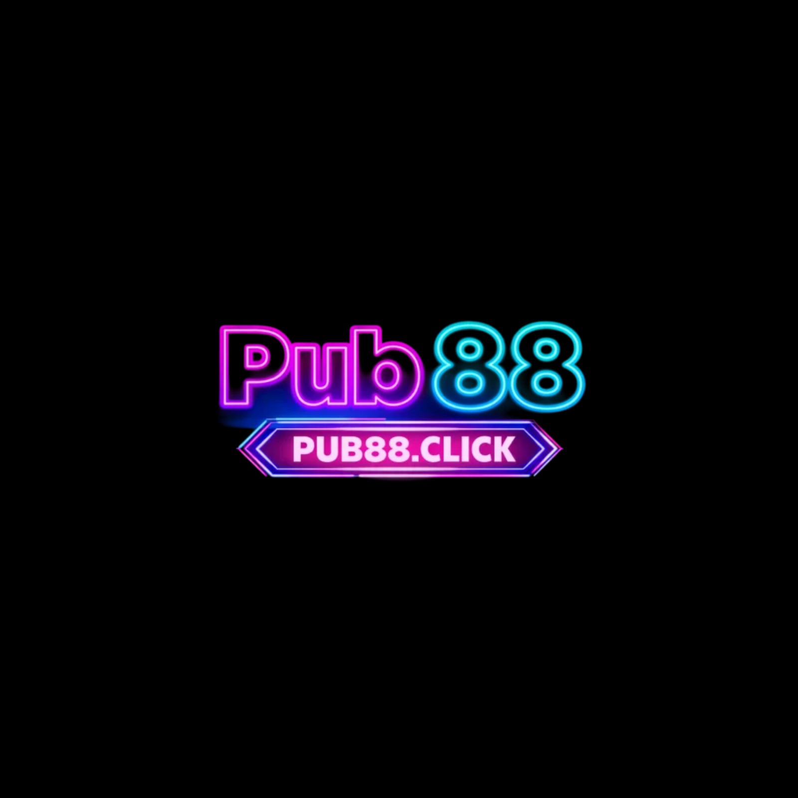 PUB88
